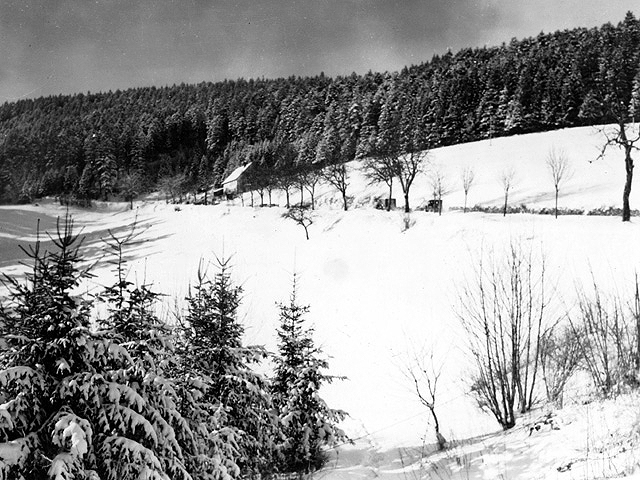 Plainfang 1944 - U.S. 3rd Infantry Division Photography WWII