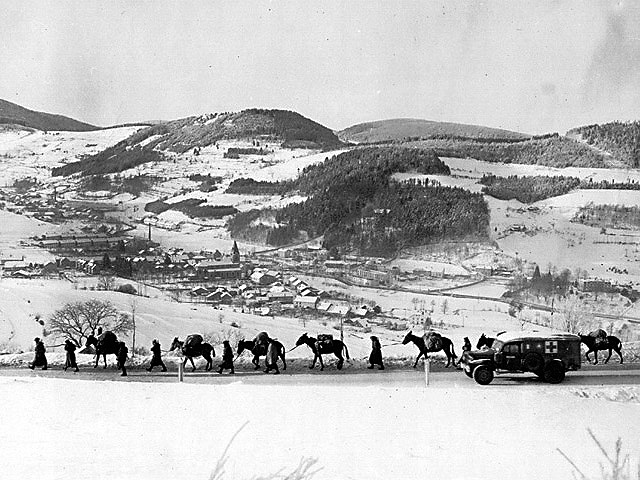 Plainfang 1944 - U.S. 3rd Infantry Division Photography WWII