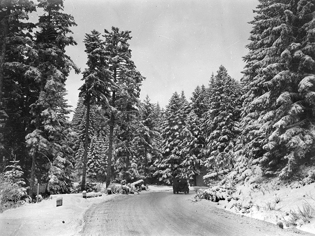 Plainfang 1944 - U.S. 3rd Infantry Division Photography WWII