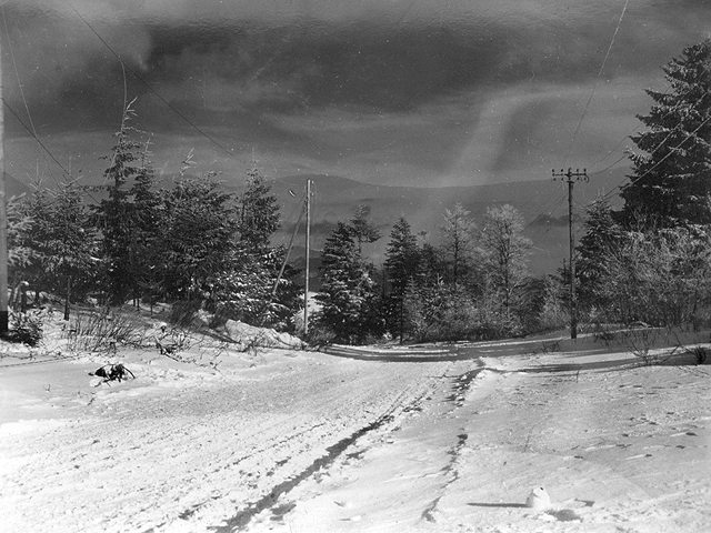 Plainfang 1944 - U.S. 3rd Infantry Division Photography WWII