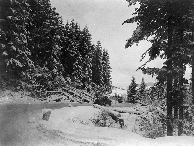 Plainfang 1944 - U.S. 3rd Infantry Division Photography WWII