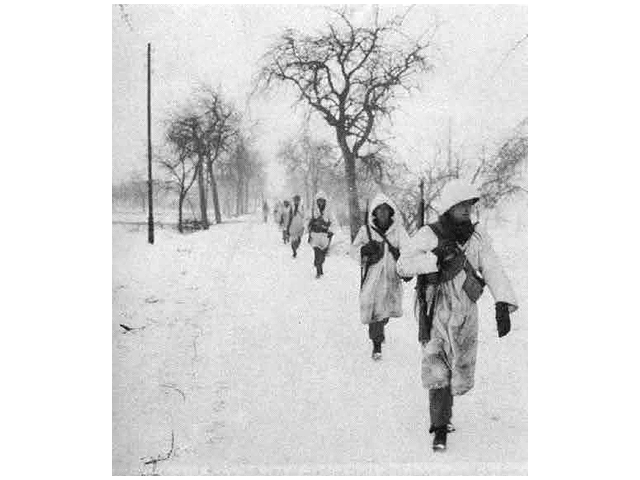 Ostheim - Colmar Pocket 1945 - U.S. 3rd Infantry Division Photography WWII