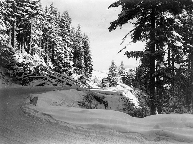 Plainfang 1944 - U.S. 3rd Infantry Division Photography WWII